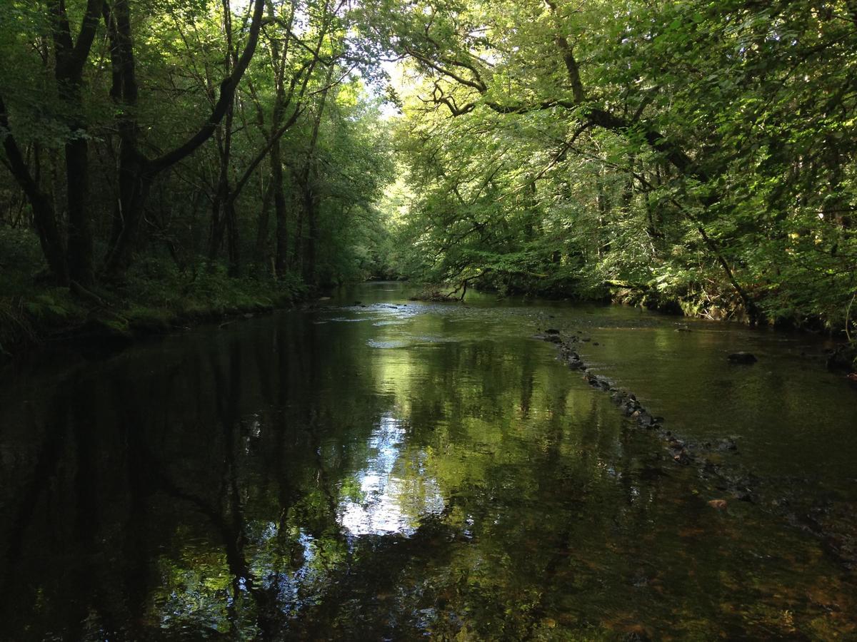 Au Bois de Calais - Photo 7