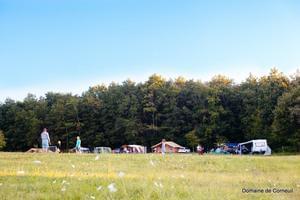 Domaine de Corneuil - Photo 5