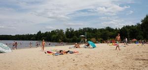 Domaine de Corneuil - Photo 23