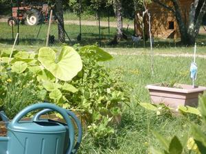 Domaine de Corneuil - Photo 28