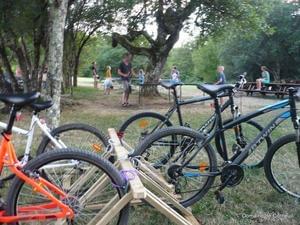Domaine de Corneuil - Photo 40