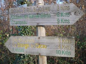 Domaine de Corneuil - Photo 42