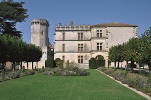 Domaine de Corneuil - Photo 66
