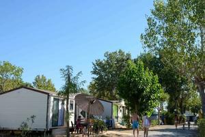 Camping Domaine du Golfe de Saint Tropez - Photo 7
