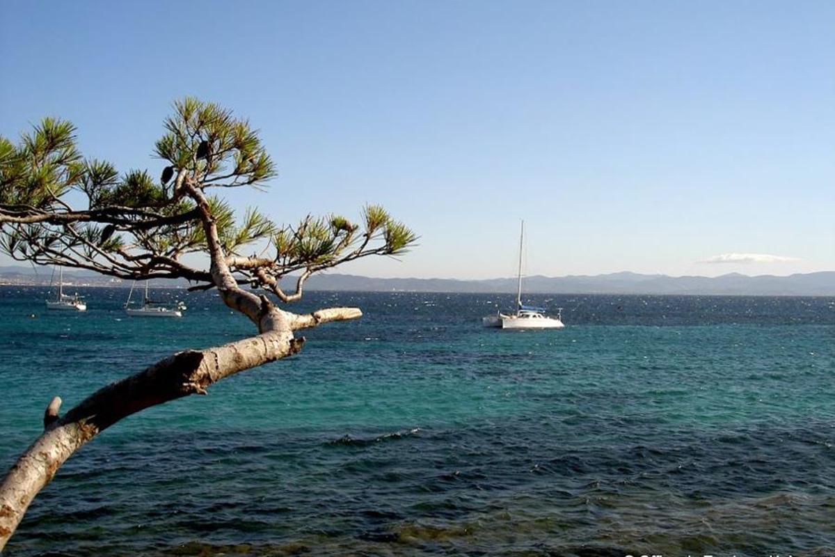 Camping Domaine du Golfe de Saint Tropez - Photo 34