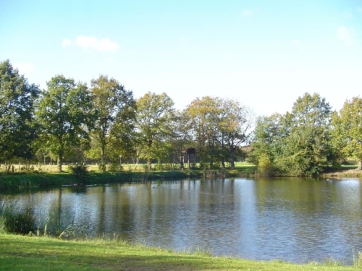 Euregio camping De Twentse Es - Photo 3