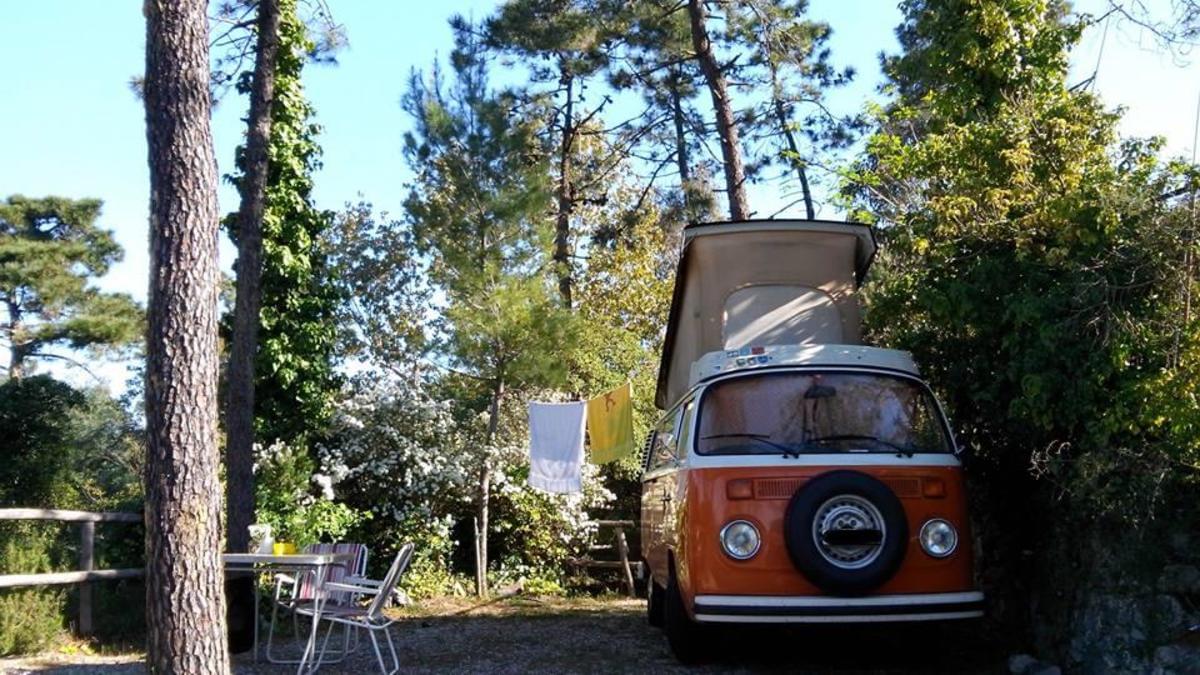 Camping La Pineta - Photo 1