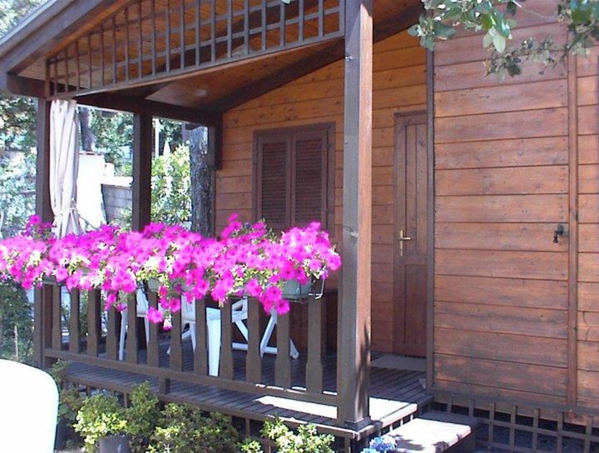 Camping La Pineta - Photo 2