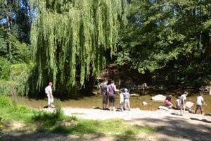 Flower Camping Le Château - Photo 25