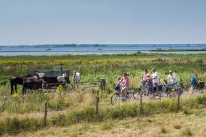 Camping 't Weergors - Photo 5