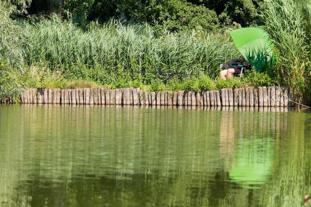 Camping 't Weergors - Photo 7