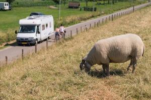 Camping 't Weergors - Photo 8