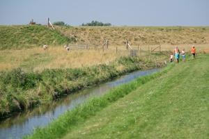Camping 't Weergors - Photo 12