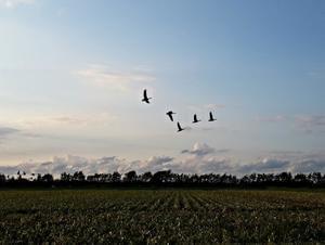 Camping 't Weergors - Photo 46