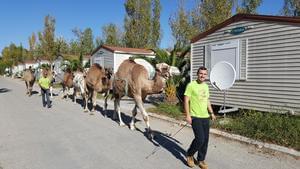 Camping MARINA PLAGE - Photo 3