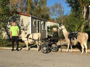 Camping MARINA PLAGE - Photo 24