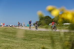 RCN Vakantiepark de Schotsman - Photo 21