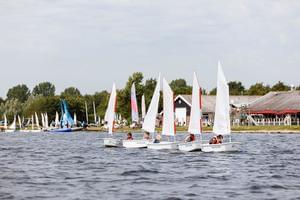 RCN Vakantiepark de Schotsman - Photo 38