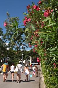 Camping Le Méditerranée - Photo 3