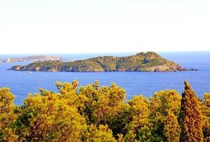 Camping Le Méditerranée - Photo 36