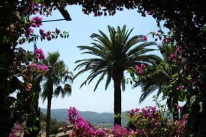 Camping Clau Mar Jo - Photo 54