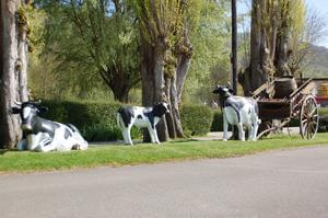 Flower Camping l'Ile des Trois Rois - Photo 6