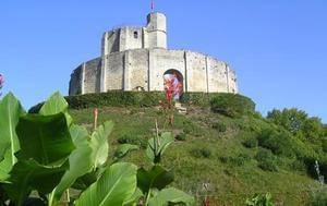 Flower Camping l'Ile des Trois Rois - Photo 26