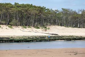 Sea Green - Camping Le Paradis - Photo 527