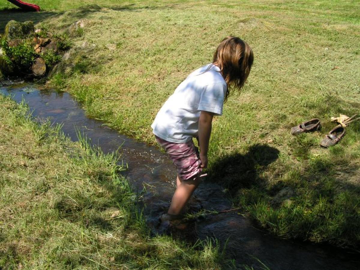 Camping LA FOUGERAIE - Photo 4