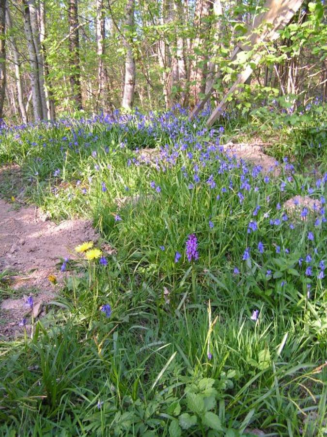 Camping LA FOUGERAIE - Photo 7