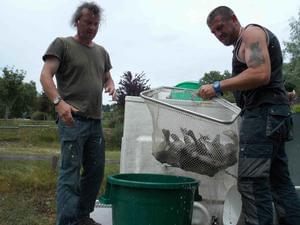 Camping LA FOUGERAIE - Photo 24