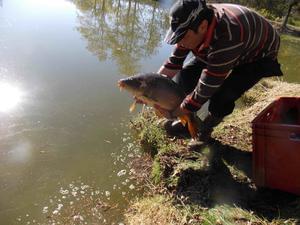Camping LA FOUGERAIE - Photo 25