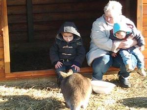 Camping L'Étang du Pays Blanc - Photo 5