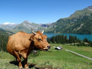 Camping Qualité l'Eden de la Vanoise - Photo 58