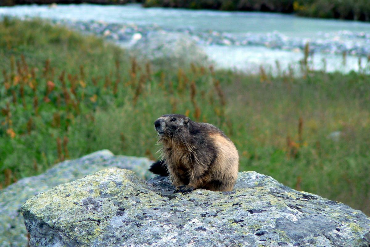 Camping Qualité l'Eden de la Vanoise - Photo 59
