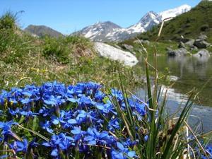 Camping Qualité l'Eden de la Vanoise - Photo 67