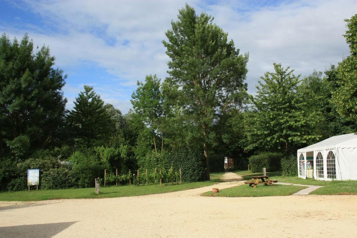 Camping La Vallée des Vignes - Photo 4