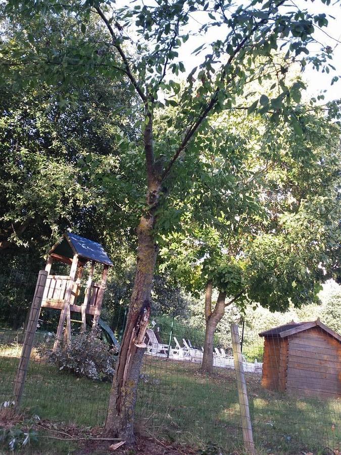 Camping La Vallée des Vignes - Photo 9