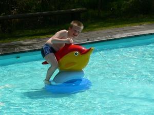 Camping Alkenhaer - Photo 9