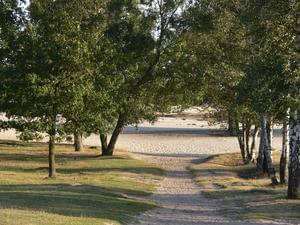 Camping Alkenhaer - Photo 13