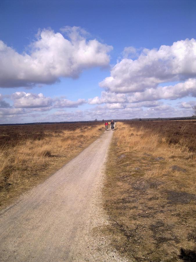 Camping Alkenhaer - Photo 18