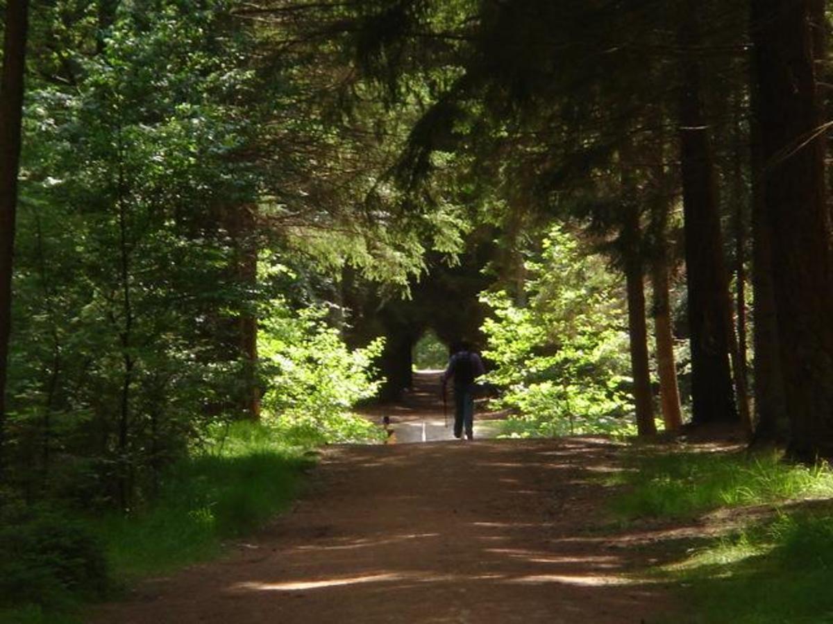 Camping Alkenhaer - Photo 26