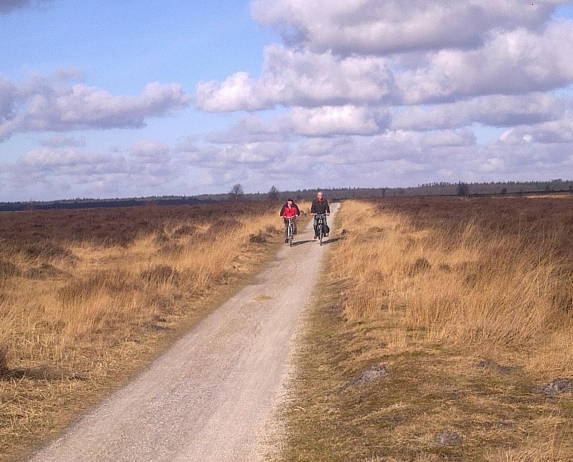 Camping Alkenhaer - Photo 31