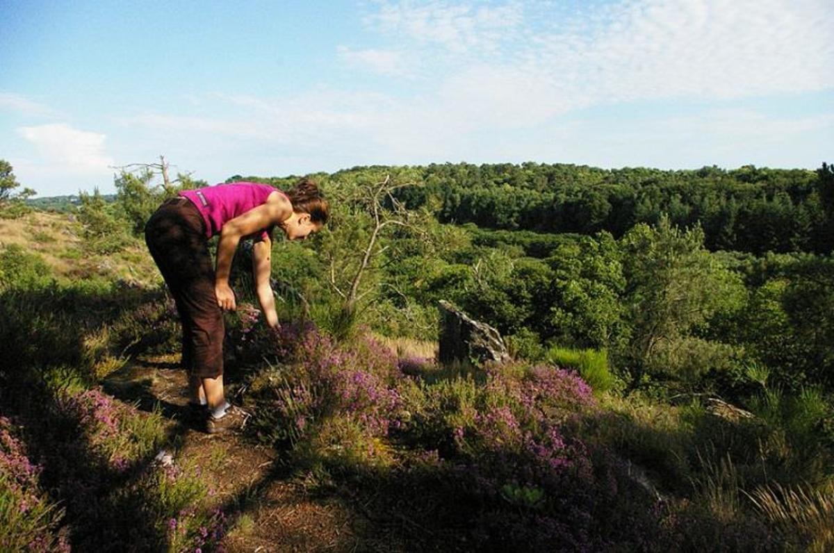 Sites et Paysages Au Gré Des Vents - Photo 13