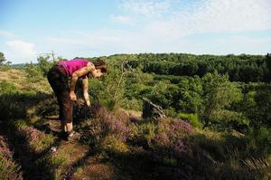 Sites et Paysages Au Gré Des Vents - Photo 13