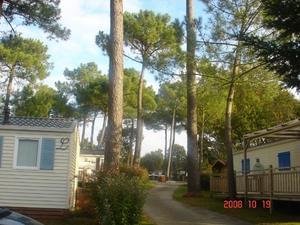Camping de KERGO - Photo 3
