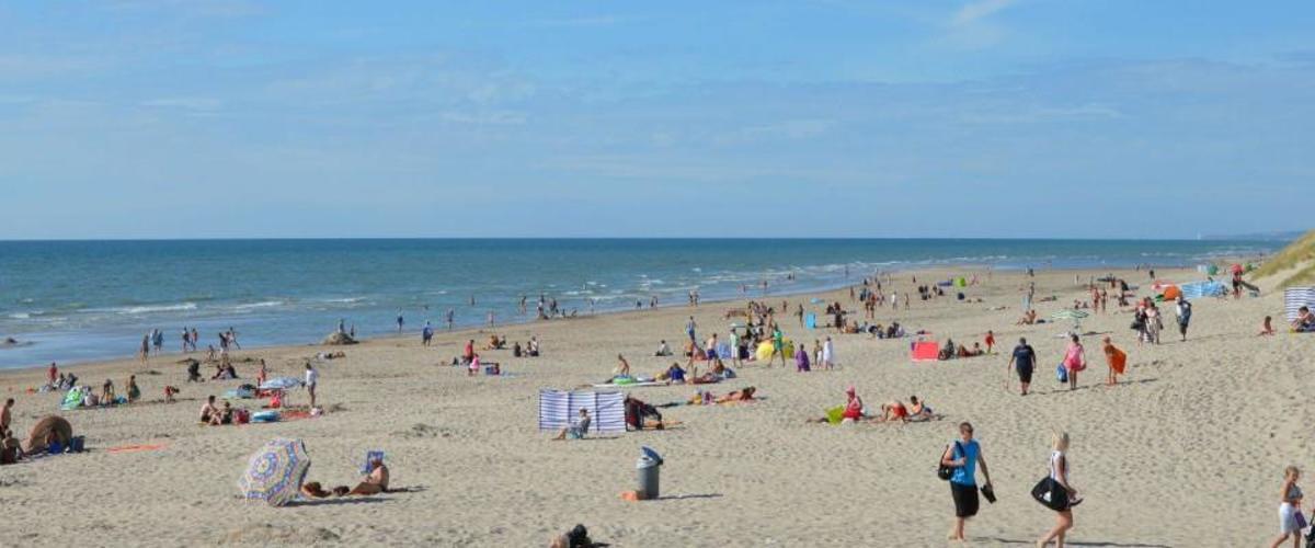 Camping La Forêt Stella-Plage - Photo 15