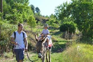 Bivouac nature - Photo 34