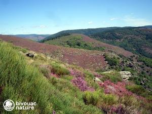 Bivouac nature - Photo 44
