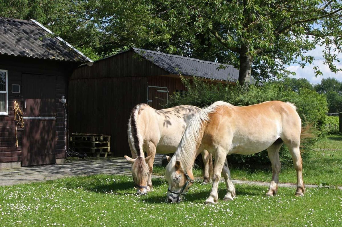 Familiecamping de Otterberg - Photo 6